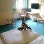 & Restaurant Zur Weintraube 3* Jena