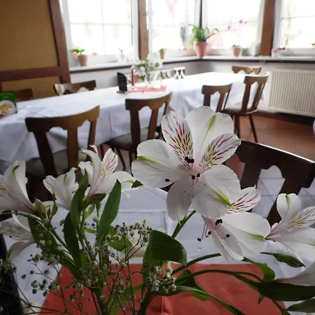 Hotel & Restaurant Zur Weintraube