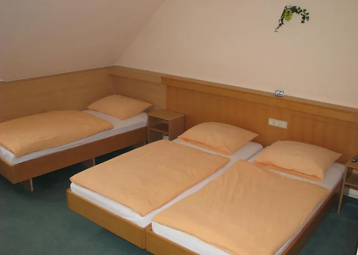 & Restaurant Zur Weintraube Hotel Iéna