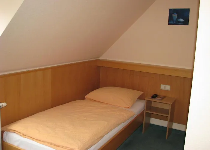 & Restaurant Zur Weintraube Hotel